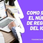 Como saber el Número de registro del Icfes