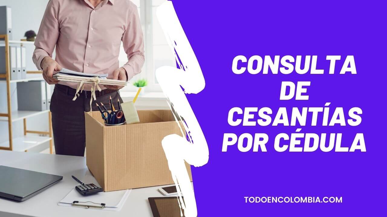 En este momento estás viendo Consulta de Cesantías por Cédula